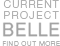 Current Project - Belle